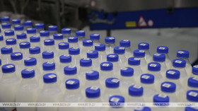 Минсельхозпрод: на одного белоруса в год производится почти тонна молока