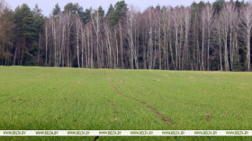 Крупко назваў цану пытання па маштабным праекце для арашэння палёў на Палессі. Вывучаць і вопыт Кітая